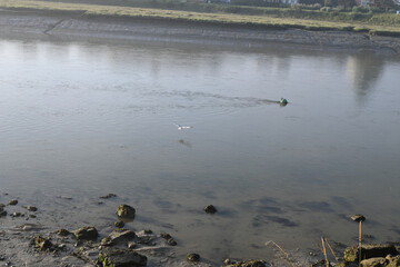 Survol de plan d'eau