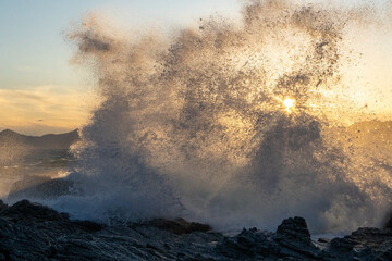 Waves crashing on cliffs at sunset. High quality photo