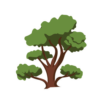 Cartoon tree vector illustration, isolated on white background
