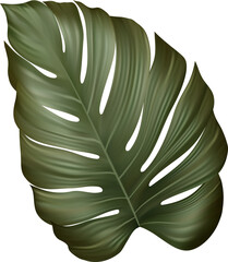 Tropic Leaf Monstera
