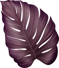 Tropic Leaf Monstera Purple