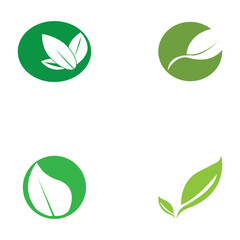 leaf nature icon vector illustration template design