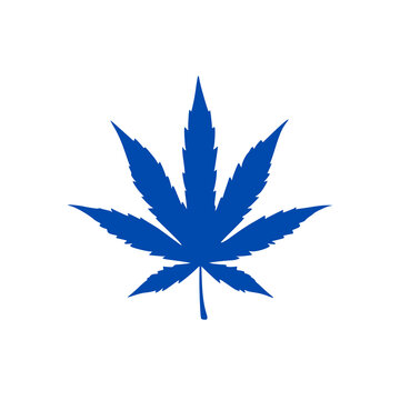 Cannabis leaf png image 