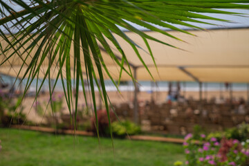 A green forest with tall numbered trees. Supports eco-friendly companies, forest conservation, and fights deforestation. Ideal for nature tourism and excursions to natural reserves.