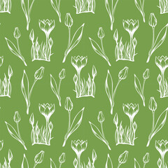 Seamless pattern with spring and summer colors. Sketch-style crocus and tulips pattern, hand-drawn on green background for unique packaging designs and flower shops in vintage style