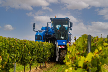agriculture viticulture charente