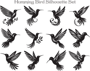 Humming Bird Silhouette Vector Illustration Design Bundle