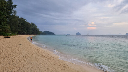 A lone figure stands on a sandy beach, gazing out at the vast ocean with waves crashing gently on the shore