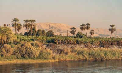 Adventure Travel Egypt Nile Cruise