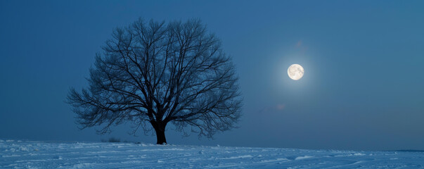 Solitary tree under the full moon on a snowy night