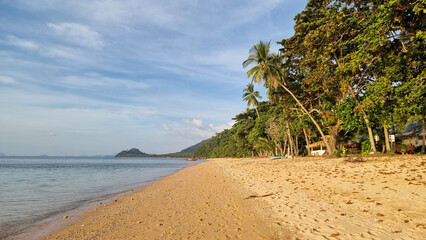 A tranquil scene of a sandy beach stretching along the ocean, lined with tall swaying palm trees under a clear blue sky