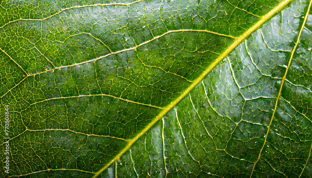 Poster avocado leaf macro texture. generative ai.