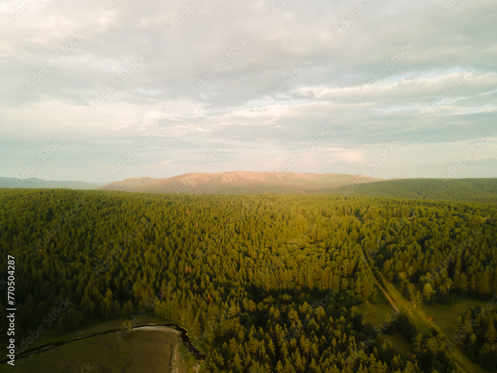 Poster aerial view of a green forest with pine trees against a sky with clouds at sunset. nature background