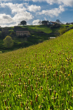 Indicios de primavera