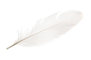 White Feather Resting on White Surface. On a White or Clear Surface PNG Transparent Background.