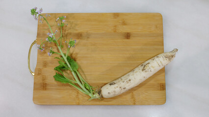 Green leaves and small flowers growing from the top of a white radish. On a wooden chopping board.