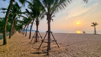 A serene beach scene with tall palm trees swaying in the breeze against a colorful sunset backdrop
