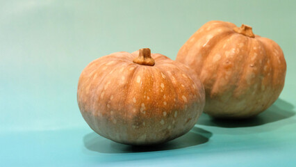 Two small pumpkins with bluish green background. With copy space on the left.