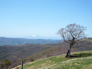 岩手山の見える風景