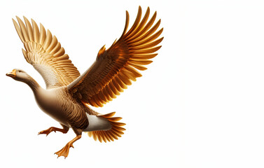 Obraz premiumDuck full body picture in the style of photorealistic compositions white background, generative ai