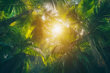 The sun shining through the canopy of tall, lush palm trees