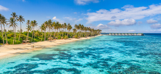 Beach beautiful coastline. Palm trees and Maldives sea. Pristine water is turquoise, white sand and green palm trees. Amazing nature landscape aerial paradise island. Coral reef sunny tourism vacation