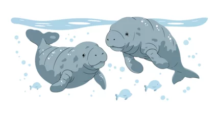 Fototapete Wal Mom and baby manatee Mothers day card  flat vector 