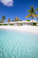 Beach villas in Maldives, luxury summer travel and vacation background. Amazing blue sea and palm...