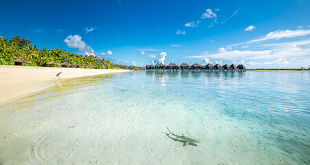 Fantastic beach landscape with wildlife in calm blue lagoon bay in luxury island resort hotel,...