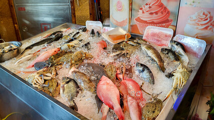 seafood restaurant has a choice of fish for visitors. Fish showcase in the restaurant