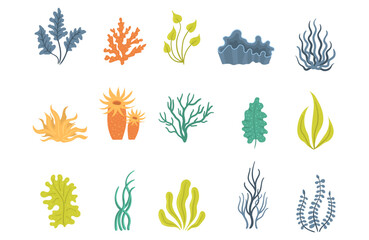 Collection of seaweeds, underwater sea plants, shells. Vector illustration of seaweeds, planting, marine algae and ocean corals silhouettes. Collection of cartoon algae. - obrazy, fototapety, plakaty