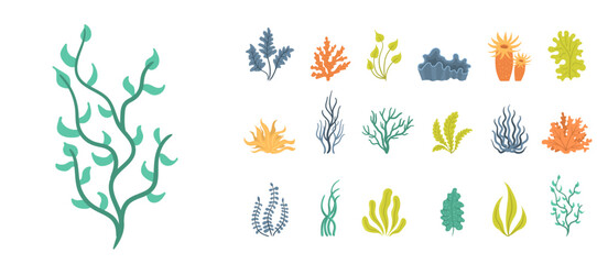 Collection of seaweeds, underwater sea plants, shells. Vector illustration of seaweeds, planting, marine algae and ocean corals silhouettes. Collection of cartoon algae.