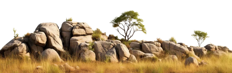 Rolgordijnen Savanna with faded grass and rocks, cut out © Yeti Studio