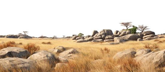 Savanna with faded grass and rocks, cut out