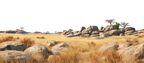 Savanna with faded grass and rocks, cut out
