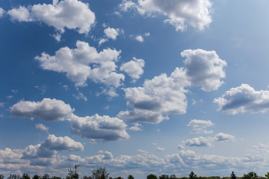 Fragment of sky with cumulus and rain clouds over trees