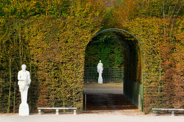 Alley in the gardens of the Versailles park. Ile-de-France Region	