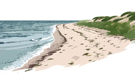 Foto op Plexiglas Sandy beach on Hel Peninsula Baltic sea Poland flat vector © Ideas