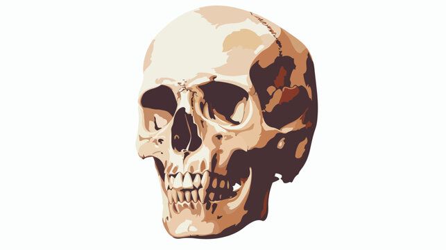 Skull flat vector isolated on white background 
