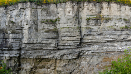 Niagara Escarpment texture. Generative AI.