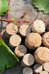 Wine cork