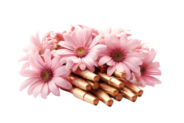 Pink Flowers Among Bullet Shells. On a White or Clear Surface PNG Transparent Background.