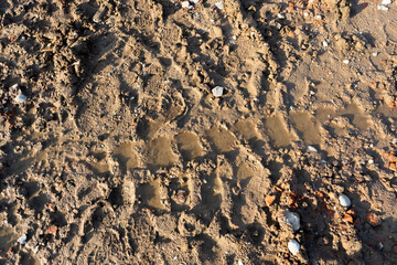 texture of the sand mud dirt