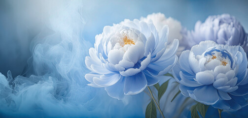 Tło w niebieskie kwiaty. Pastelowe jasne peonie. Wiosenne tło kwiatowe. Błękit i biel - obrazy, fototapety, plakaty