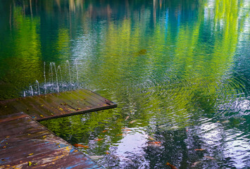 Beautiful view of the blue lake surrounded by trees around it.