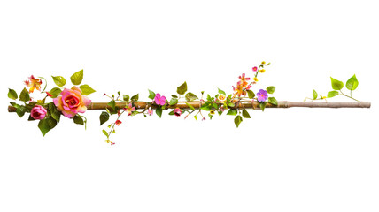 A whimsical creeper with multicolored flowers weaving through a bamboo stick, isolated on transparent background