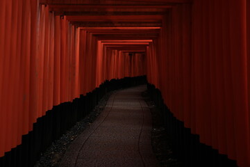  Fushimi Inari Taisha shrine in Kyoto