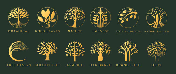 Tree logo. Icon nature, oak and olive. Circle symbol, design abstract line, branch leaves gold label, emblem vine, organic products logotype, grow botanic. Vector modern garish isolated illustration - obrazy, fototapety, plakaty