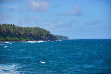 Naklejka premium Le Gris Gris cliffs and beach on the south coast of Mauritius