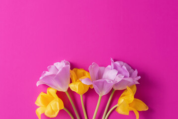 Obraz na płótnie Canvas Beautiful tulip flowers on hot pink background. Aesthetic spring flowers concept or Woman's Day concept, top view